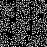 SDL02