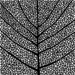 SDL04