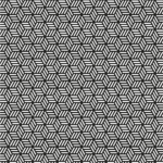 SDL07