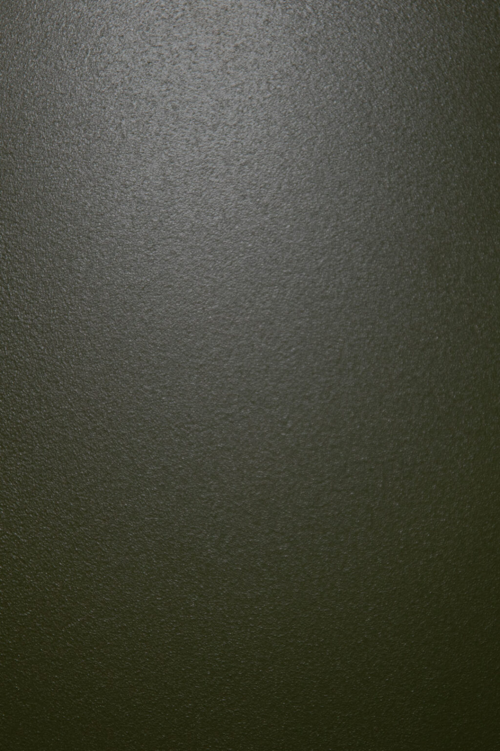 RAL 6003 Vert olive